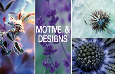 Motive & Designs | 2016